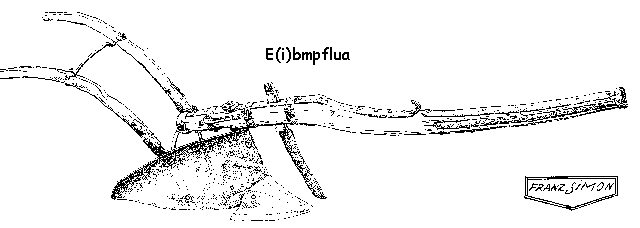 Abbildung: E(i)bmpflua, m