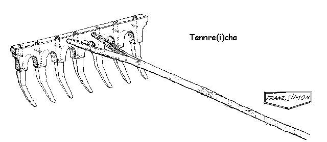 Abbildung: Tennre(i)cha, m